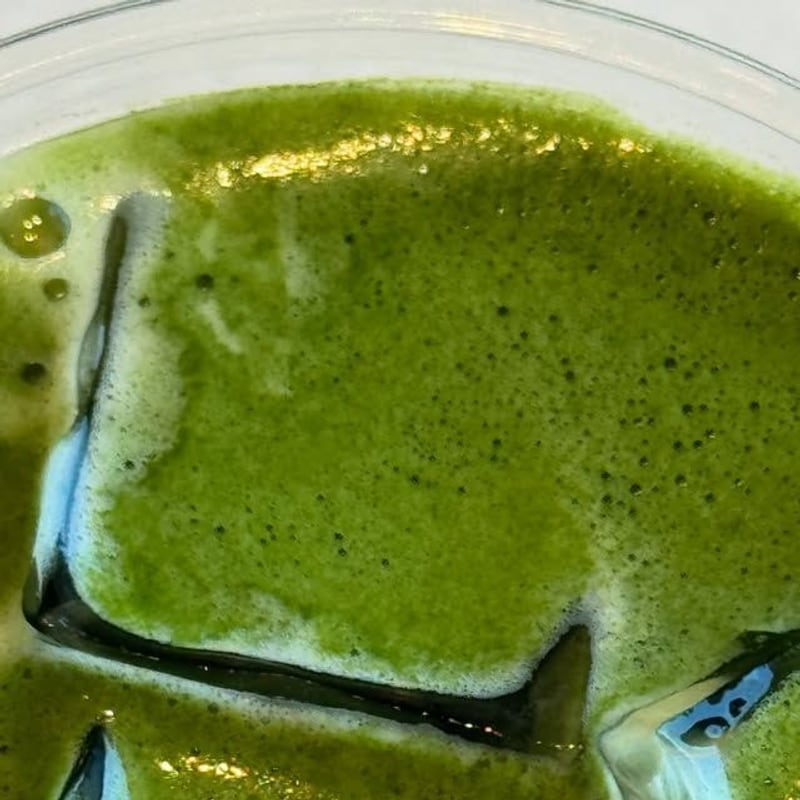 Matcha from Chitchat Coffee & Matcha