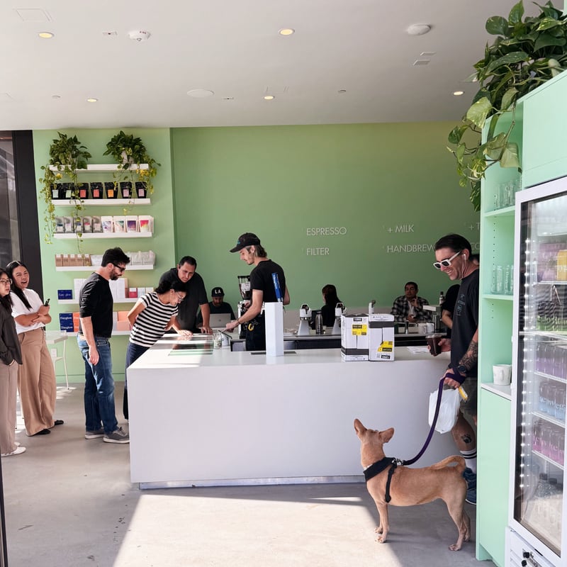 Matcha from Dayglow
