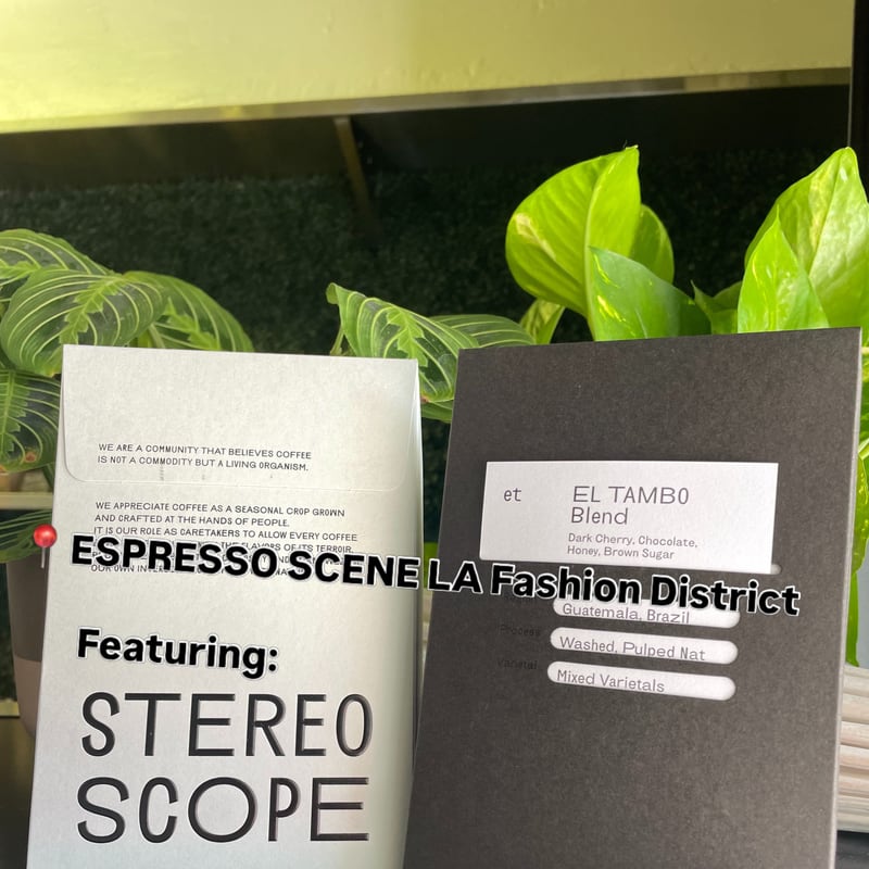 Matcha from Espresso Scene